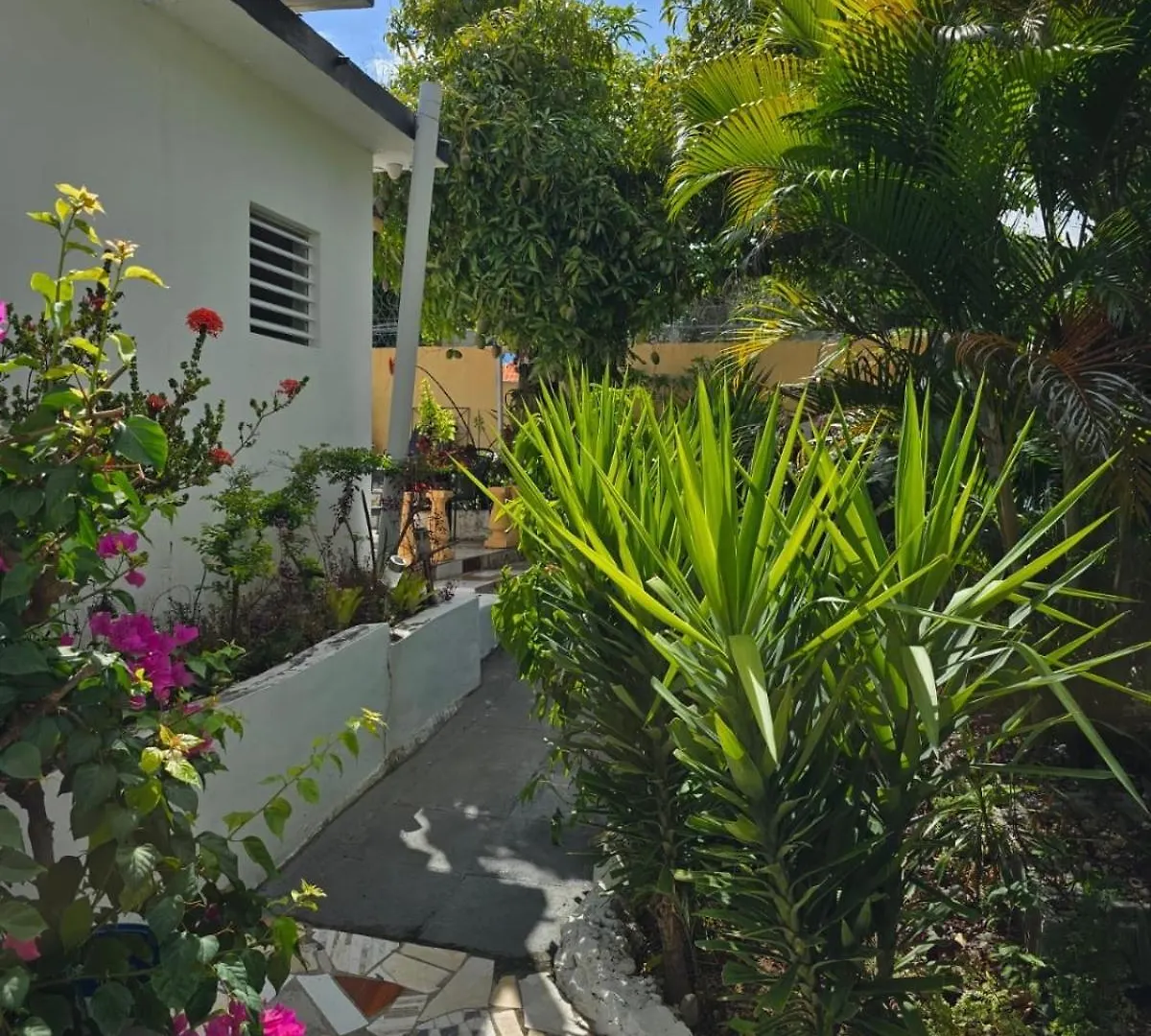 Semesterbostad Paradise Palms Jamaica Vacation Rental Montego Bay Jamaica